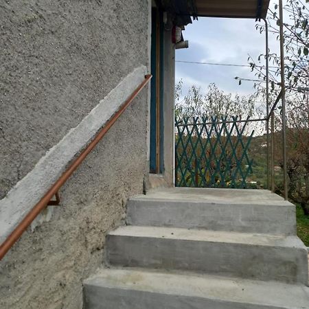 Casa Vita Vallebona Exterior foto