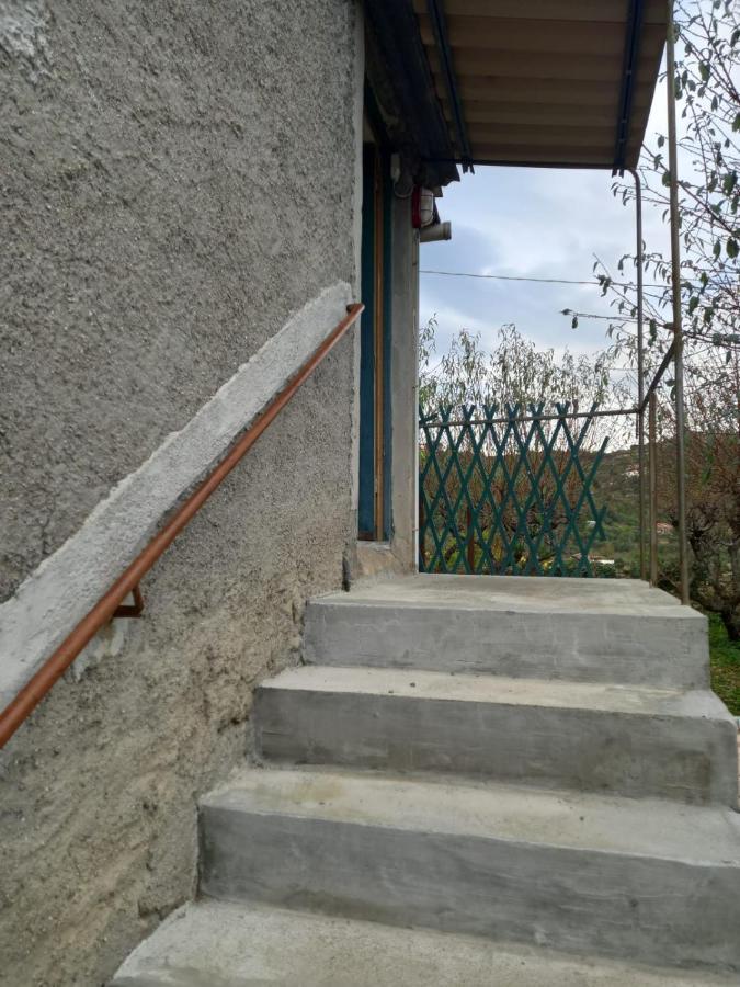 Casa Vita Vallebona Exterior foto